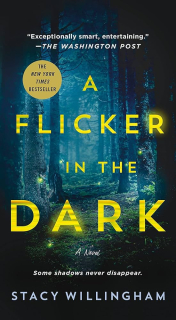 A Flicker in The Dark